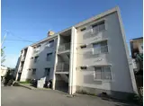 仲池ハイツ