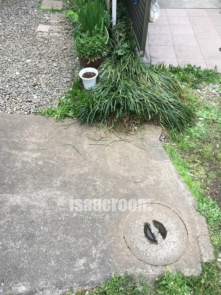 サンハイツオザワ