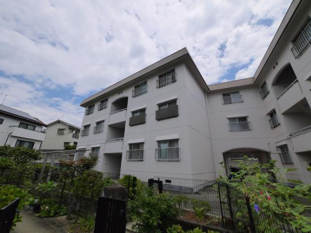 シャトウ春