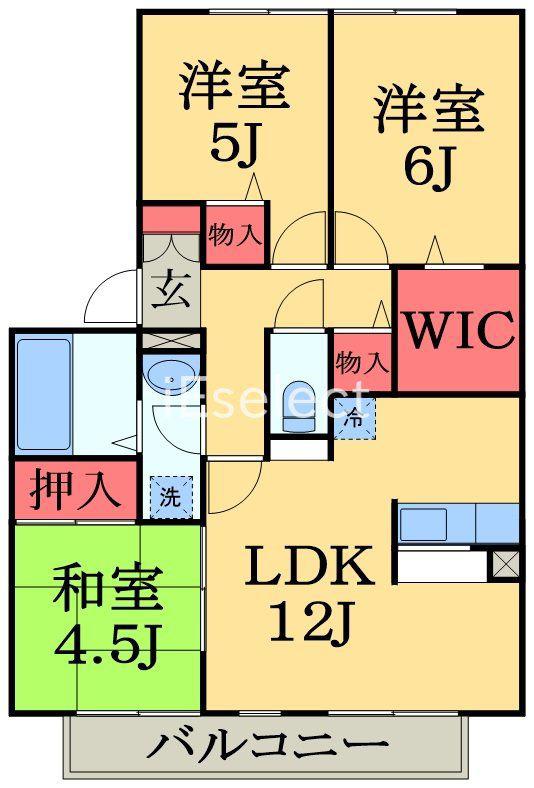 ドミールA(3LDK/1階)の間取り写真