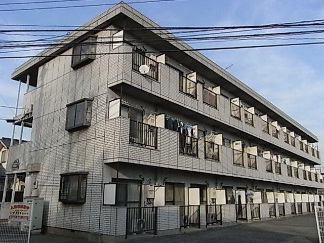 パープルティアラ