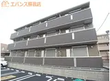 フォレスタレザイア