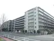 ハートビートベース横濱根岸(3LDK/1階)