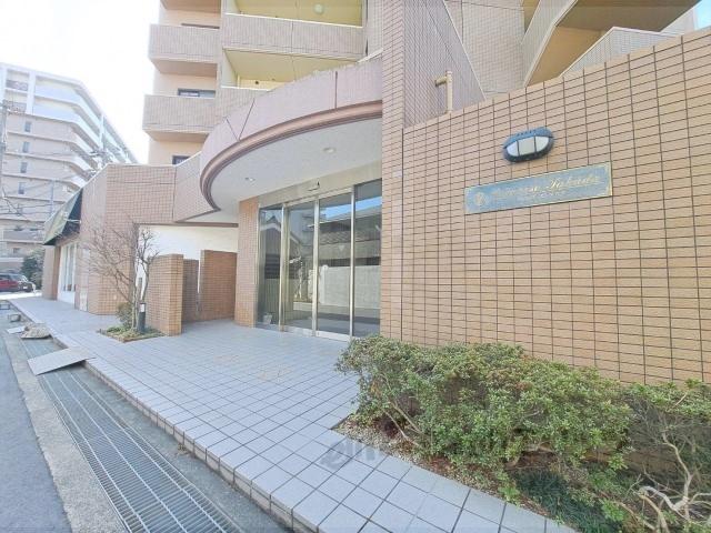 プリムローズタカダ