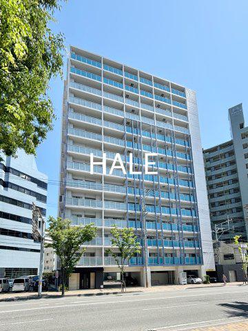 LE GRAND BLEU HAKATA