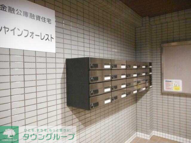 サンシャインフォーレスト