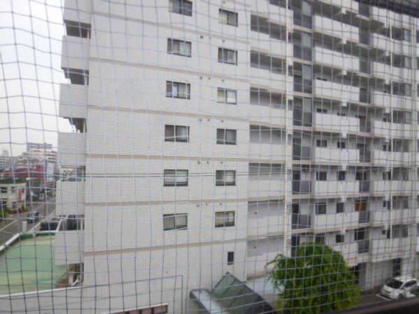 ドリームハウス