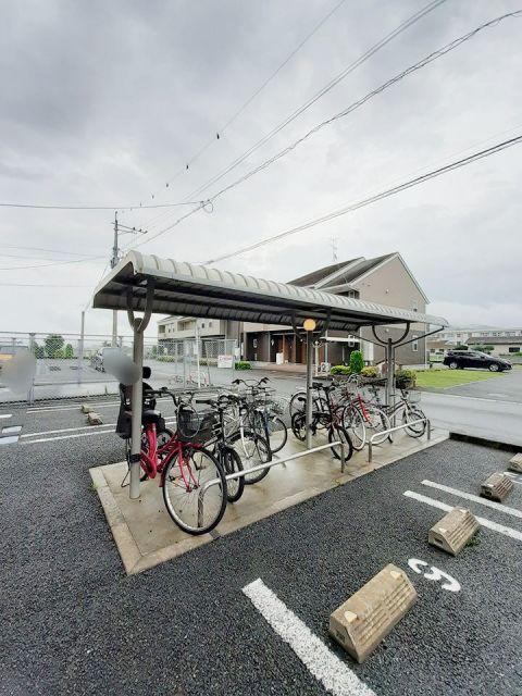 アングレカム B