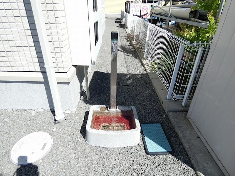 プラシード