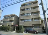 東京メトロ有楽町線 地下鉄成増駅 徒歩10分 5階建 築31年