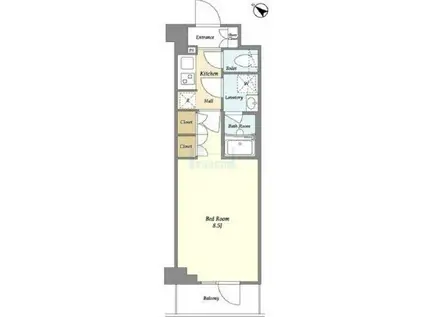 LA DOUCEUR成増(1K/1階)の間取り写真