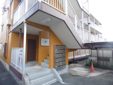 コスモス18