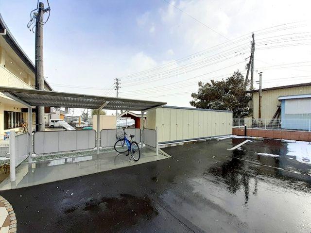 しいの木B