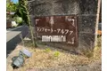 コンフォート・アルファ