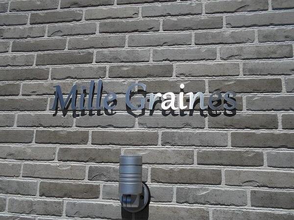 MILLE GRAINES