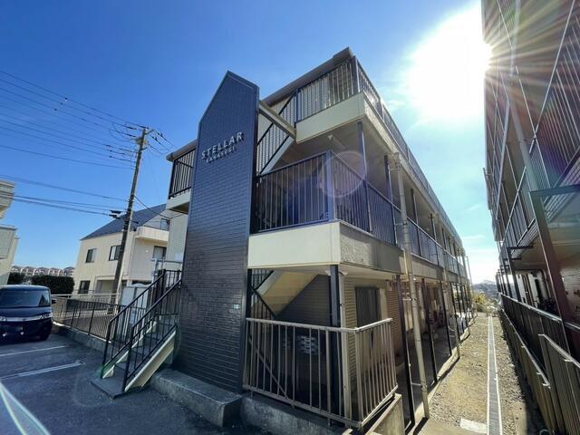 STELLAR金杉