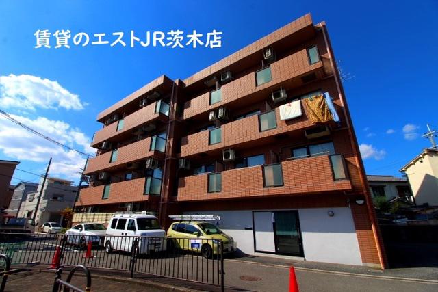 GI-ZII
