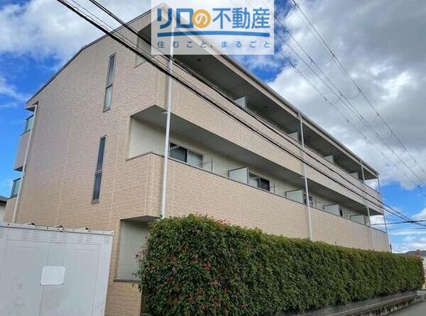 アンプルールフェール フリージア