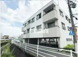 リベーロクヌギ