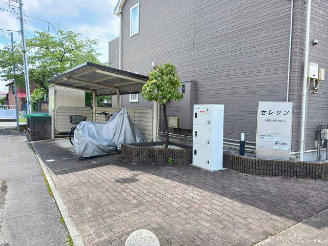 セレッソ