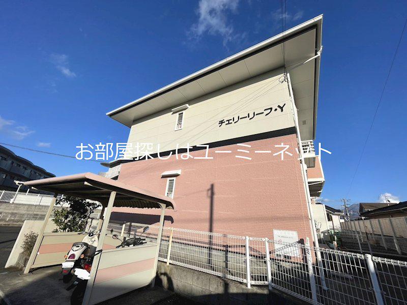 チェリーリーフ・Y