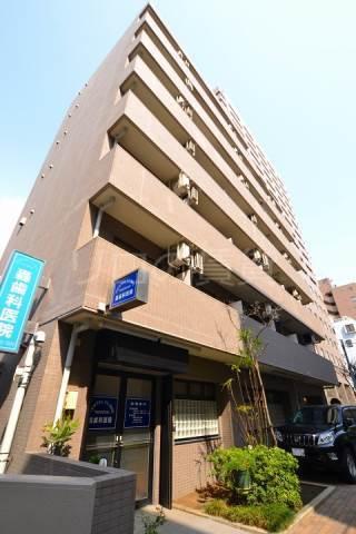 カテリーナ大森