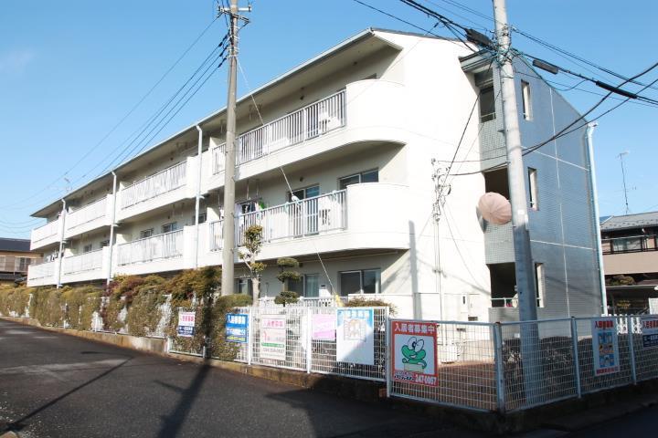 コスモスイトウ