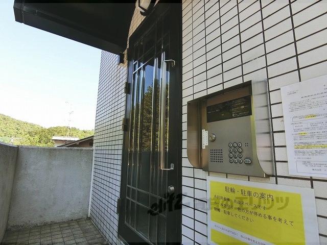 ジーアップ・レイ