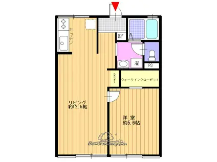 シティハイム シャホールI(1LDK/1階)の間取り写真