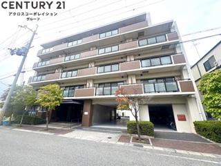 ベルパレス高木