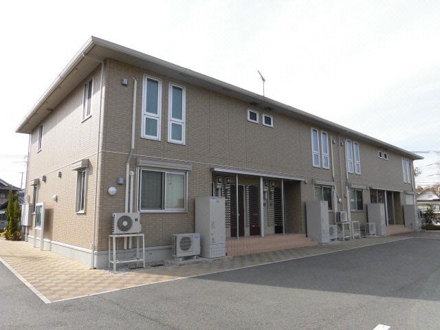 ステラセッテ