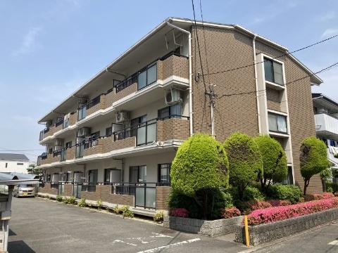エクセルコート八雲