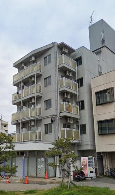 シャインエイト