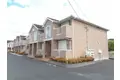 アガパンサスII