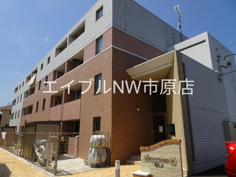 プリムローズ51