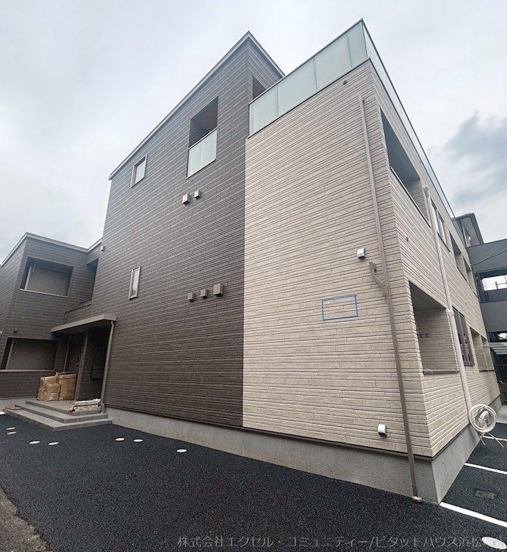 YSジュピター
