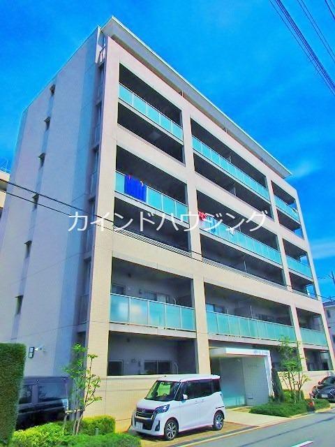 LAVIS ラヴィ