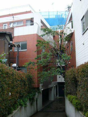 板橋区弥生町 (2LDK/1階)