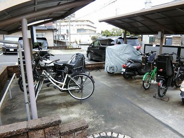 コーダ・コリーナⅡ