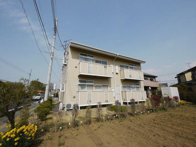 ニューシティー光