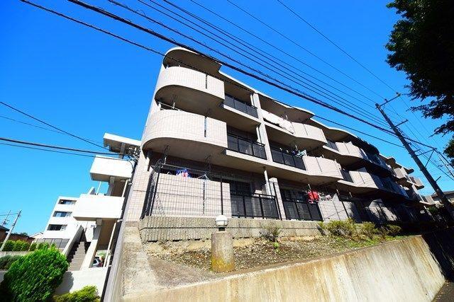 アルドーレ 芹沢