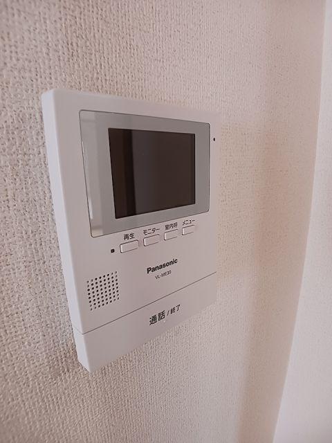 エヴァーグリーン