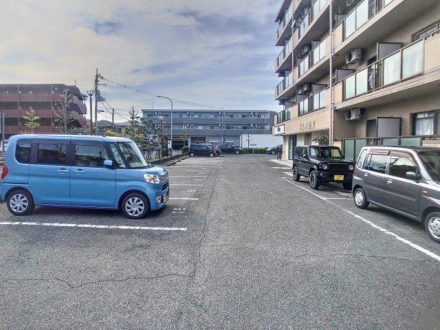 APEX FLAT