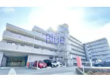 藤ロイヤル