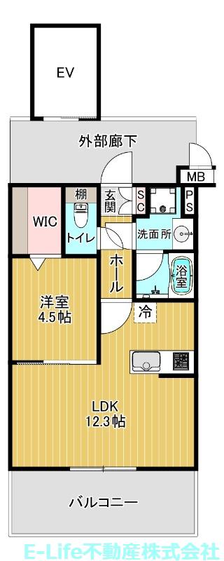 バフェット原水ビル(1LDK/8階)の間取り写真