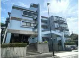 シルクロードハイツ
