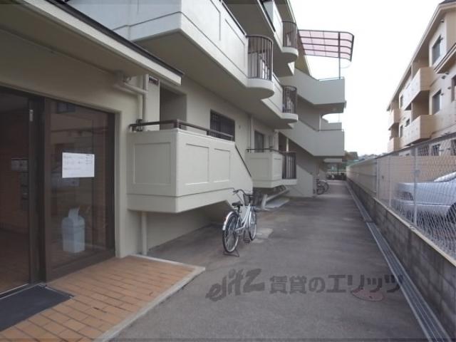 シャンポール蘭