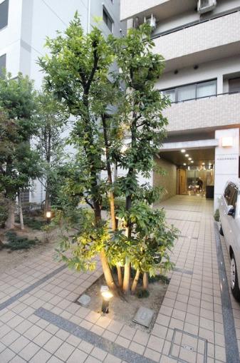 ハイシュタイン堀江