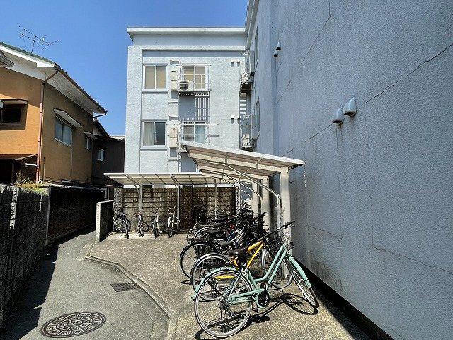 洛北松柏