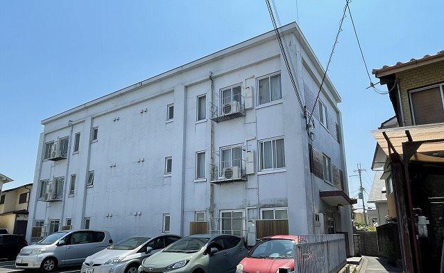 洛北松柏